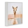 Stupell Industries Rustic Llama Portrait, 12" x 12" - 3 of 4