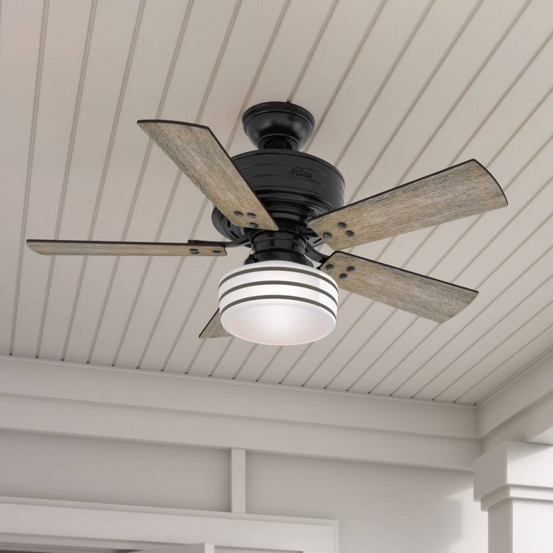 44&#34; Cedar Key Damp Rated Ceiling Fan with Remote Black (Includes LED Light Bulb) - Hunter Fan, 4 of 16