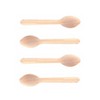 Perfect Stix Green Spoon 110mm Birchwood Compostable Cutlery Taster Spoon with Concave, 4-1/2" Length (Pack of 100) - 2 of 3