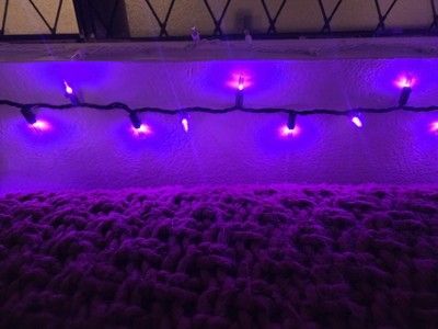 Guest review image 5 of 5, zoom in