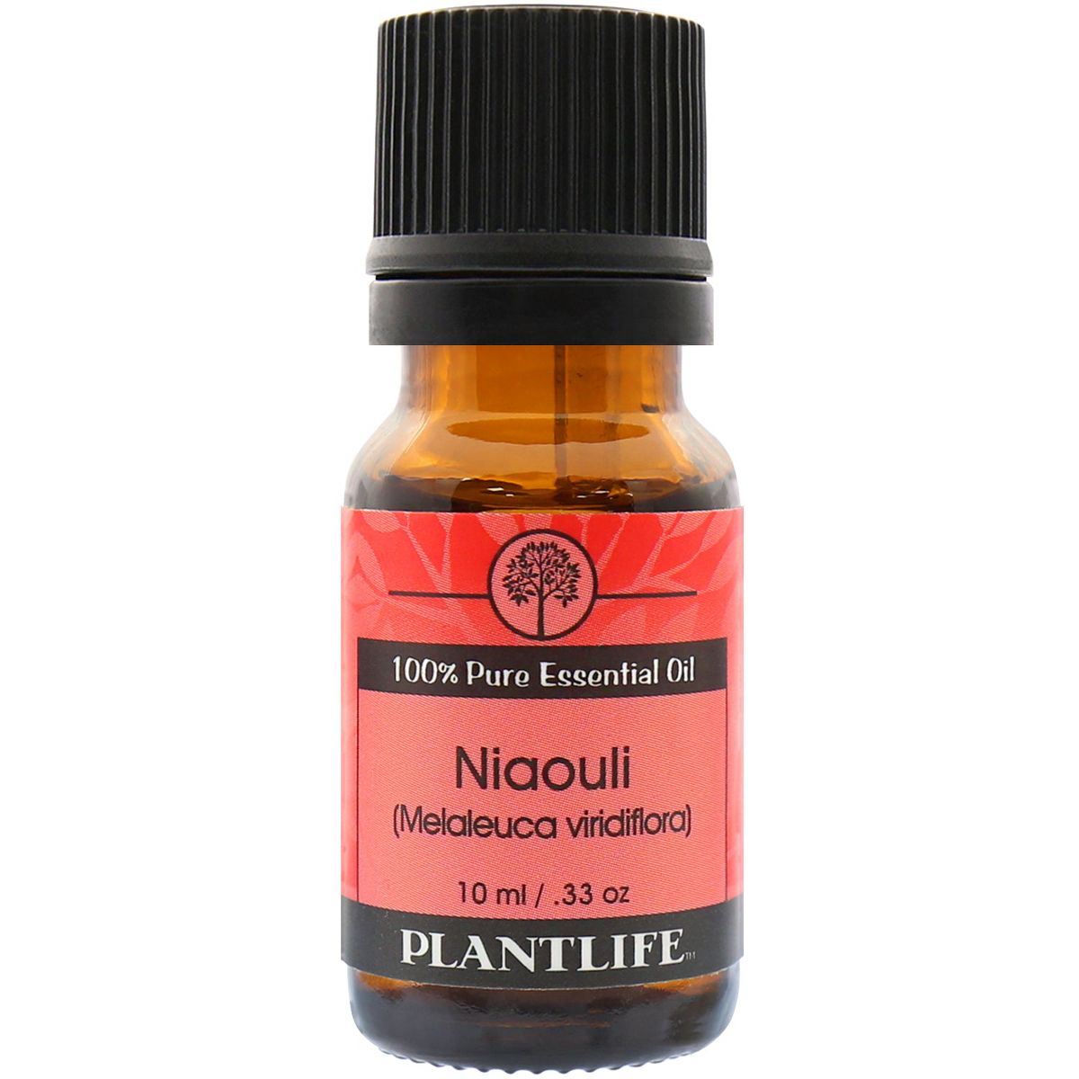 Plantlife Niaouli Aromatherapy Essential Oil – 100% Pure, Therapeutic Grade, No Additives or Fillers, 10 ml