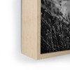 Bethany Young Photography Big Sur Wild Flowers Framed Mini Art - Society6 - 3 of 3