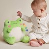 Itzy Ritzy Sweetie Snuggles Plush Stuffed Animal - Frog - 2 of 4