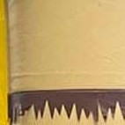 tropical smiley face non printed