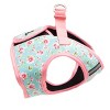 The Worthy Dog Sidekick Harness Vest - 3 of 3