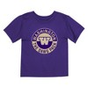 NCAA Washington Huskies Toddler Boys' 2pk T-Shirt - 3 of 3