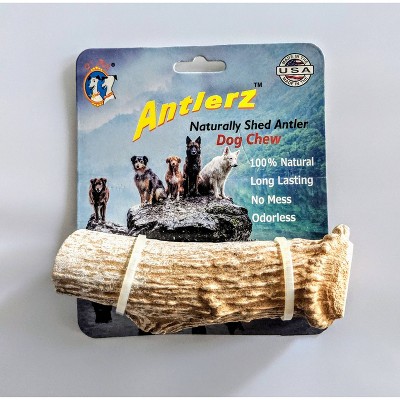 QT Dog Antlerz Natural Dog Chew Treat Dog Treats - 1ct