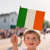 Henbrandt Ireland Hand Flag Costume Accessory - 3 of 4