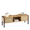 NicBex Rattan TV Stand TV CaRinet with Variable Color Light Strip Entertainment Center with Adjustable Shelf Media Console for Living Room - 3 of 4