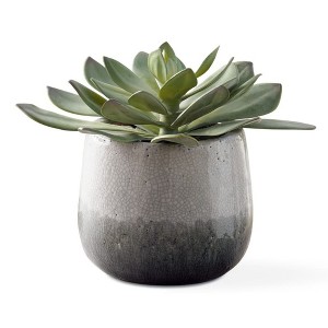 Uttermost Dudleya Outdoor Succulent-Aged White to Blue and Gray Ombre Pot - 1 of 3