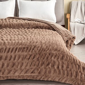50"x60" Faux Fur Throw Blanket - Isla Jade - 1 of 4