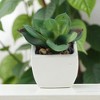 Unique Bargains Artificial Plants Ceramic Pot Plastic 2.01"x2.01"x2.95" 1 Pc - 2 of 4