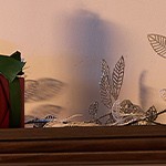 whitebrown+bronze cage