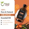 Orange Essential Oil | Premium Grade Essential Oils for Hair Care, Oil for Skin, Aromatherapy, & Diffuser | Essential Oil for Skin | 4 Fl Oz (120 mL) - 2 of 4