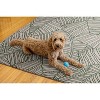 HomeStock Outdoor Washable Largo Ivory & Green 7' X 9', Machine Woven with Printed Designs, Coastal - 4 of 4