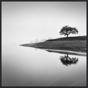 30" x 30" Tree in The Lake by Alexandre Manuel Framed Canvas Wall Art Print - Amanti Art - 1 of 4