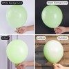 PartyWoo Balloons Mint Green Pastel Light 12 Inch 50 pcs - 2 of 4