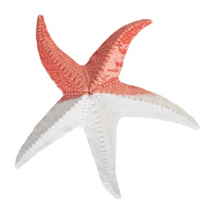Beachcombers Coral & Bisque Sea Star Figurine - 1 of 3