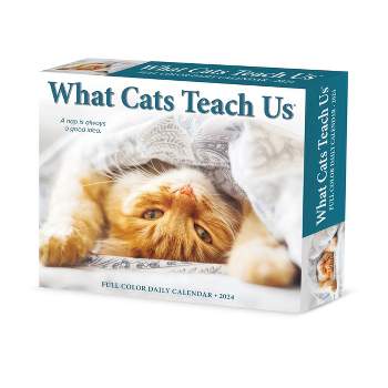 Willow Creek Press 2024 Daily Desk Calendar 5.2"x6.2" What Cats Teach Us