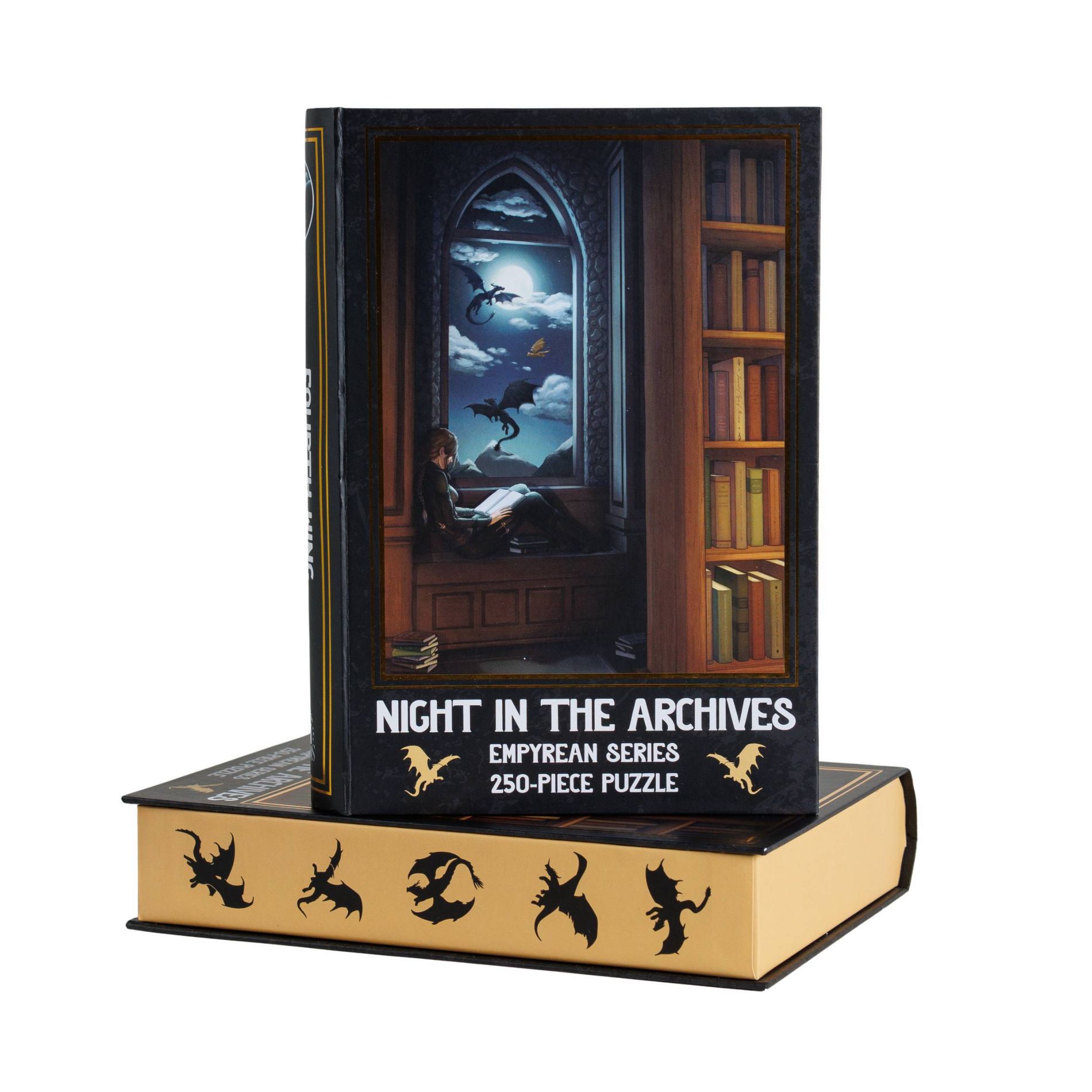 Fourth Wing Night in the Archives Puzzle - 250pc