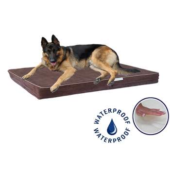 Go Pet Club 4" Solid Memory Foam Dog Bed with Waterproof Cover AA-25