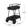 VYNXARIA REX BAR CART - 4 of 4