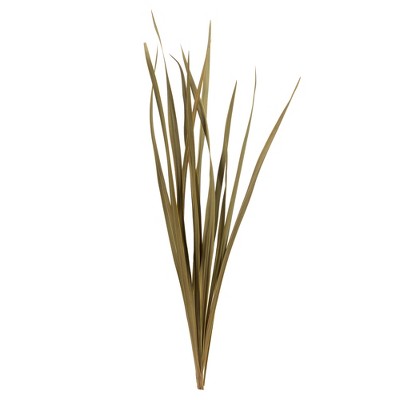 Vickerman 46 Dried Aspen Gold Pampas Grass, 6 Pieces