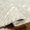Hauteloom Isano Beige Plush Area Rug - 4 of 4
