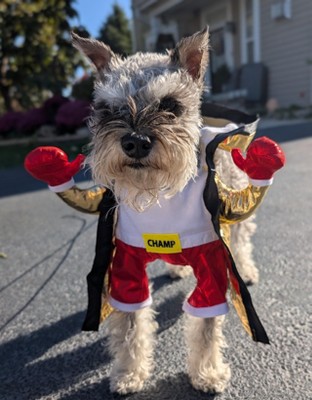 Guest review image 1 of 6, zoom in