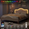 Beige/Pink/Gray Upholstered LED Bed Frame with Adjustable Headboard, Velvet Princess Platform Bed for Girls with Wooden Slat Support, Easy Assembly - 4 of 4