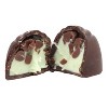 Baskin-Robbins Mint Chocolate Chip - 5oz - 4 of 4