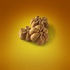 Fruitables Baked Pumpkin and Banana Flavor Healthy Low Calorie Dog Treats - 7oz - 3 of 4