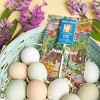 Amborella Organics 6pk Easter Greeting Cards with Seed-Bearing Lollipops Flower Seeds - 3 of 4