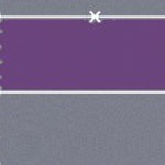 louisiana state university tigers