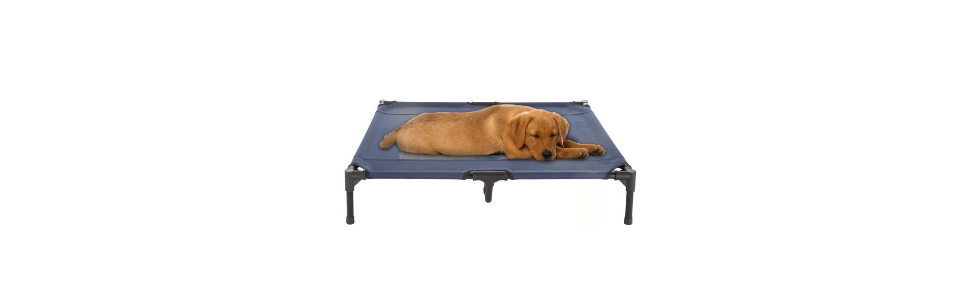 Elevated Dog Bed - 36x29.75-Inch Portable Pet Bed with Non-Slip Feet - Indoor/Outdoor Dog Cot or Puppy Bed for Pets up to 80lbs by PETMAKER (Blue)