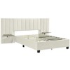 HomeRoots Beige Tufted Velvet Upholstered Queen Bed Frame - 4 of 4
