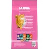 IAMS Proactive Health Sensitive Digestion and Skin Turkey Flavor Dry Cat Food - 2 of 4