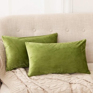 Deconovo Home Velvet Soft Decorative Pillow Covers Invisible Zipper Cushion Cover, 2-Pack - 1 of 4