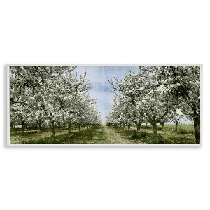 Stupell Industries Blooming White Tree Orchard Framed Giclee Art, White, 30" x 13" - 1 of 4