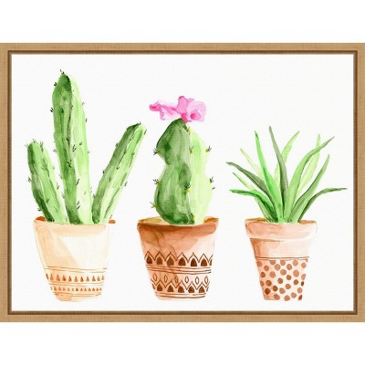 Amanti Art Patterned Succulent Pots II by Regina Moore Canvas Wall Art Print Framed 24 x 18-in.