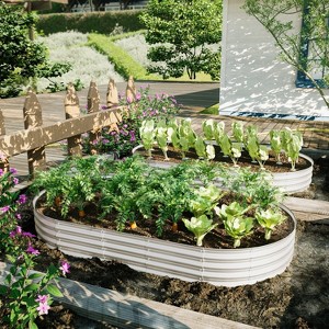 WELLFOR 2pc Metal Outdoor Garden Bed Silver 48"x96" - 1 of 4