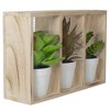 Northlight 10.75" Artificial Mixed Potted Succulents in Wooden Box - 3 of 4
