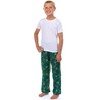Intimo Harry Potter Pajamas Boy's House Crest Icons Lounge Pj Pants (Slytherin, 8) Green - 2 of 4