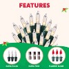 Joyfy 100 Count Clear Christmas String Lights, 19.4 FT Warm White Fairy Light Decor with Green Wire for Holiday Party Decoration Light - 4 of 4