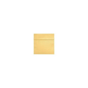 LUX 9 x 9 Square Envelopes 2 11/16 x 3 11/16  Gold Metallic 8585-07-50 - 1 of 1