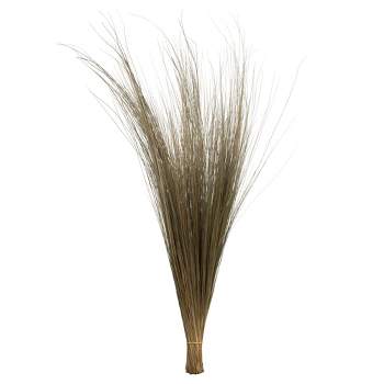 Vickerman 35"-40" Bright Grass Bundle, Dried