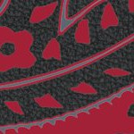 washington state cougars