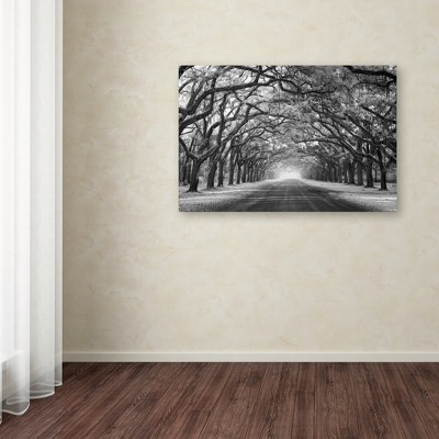 Mike Jones Photo 'Wormsloe Inf Light' Black and White Canvas Art