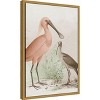 Amanti Art Antique Chroma Waterbirds II by  Framed Canvas Wall Art - 3 of 4