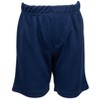 Funstuff Dinosaur Animal Video Game Astronaut Truck Athletic T-Shirt & Mesh Shorts Outfit Toddler to Little Kid - 4 of 4